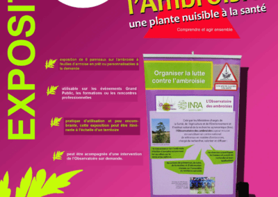 Expositions sur l&rsquo;ambroisie à feuilles d&rsquo;armoise