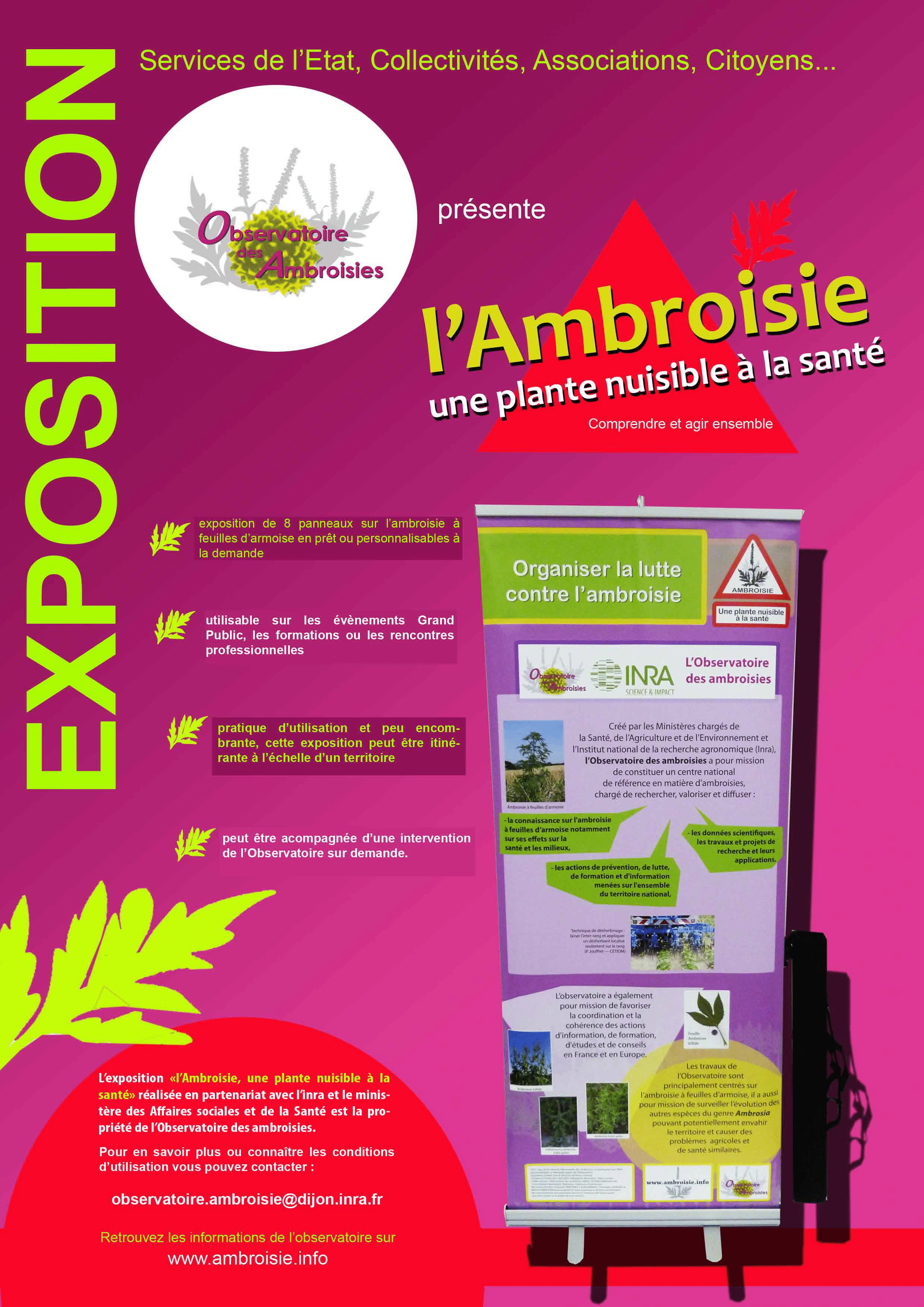 Expositions sur l’ambroisie à feuilles d’armoise