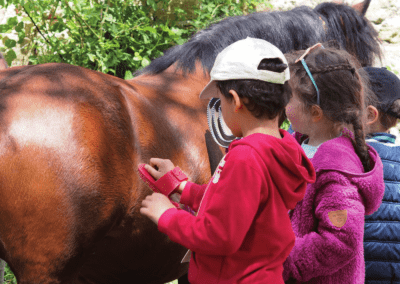 Accueils pédagogiques des fermes ardéchoises