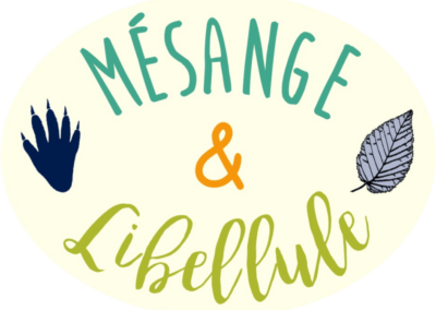 Mésange & Libellule