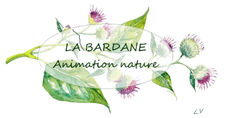 La Bardane