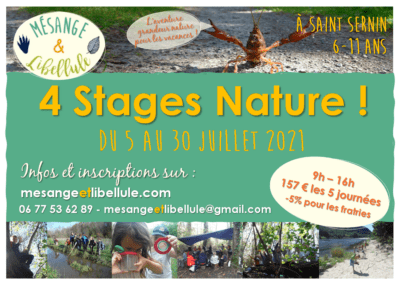 Stages nature d’été