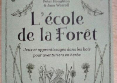 L&rsquo;école de la forêt