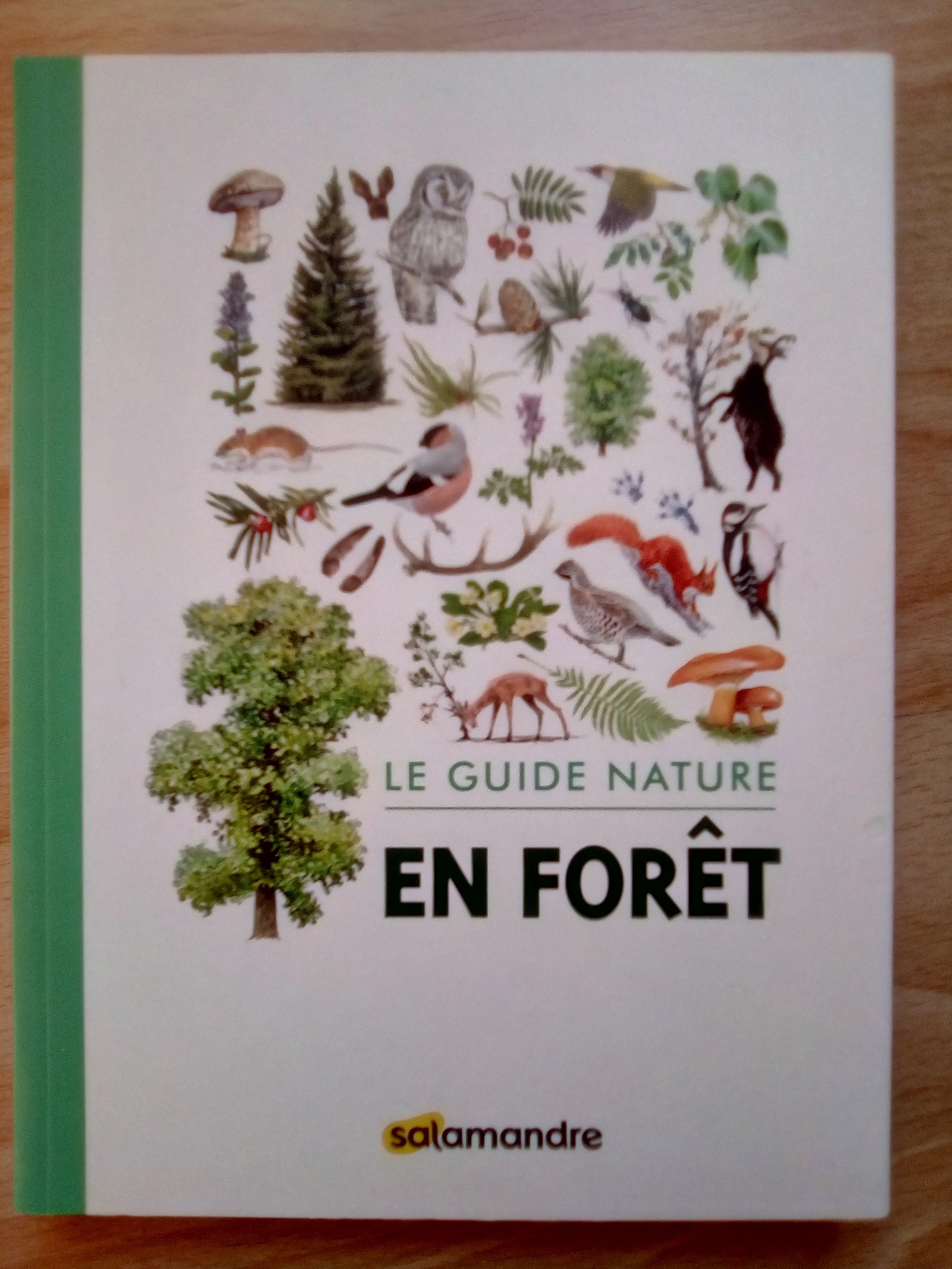 Le guide nature en Forêt