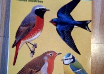 Reconnaitre les oiseaux