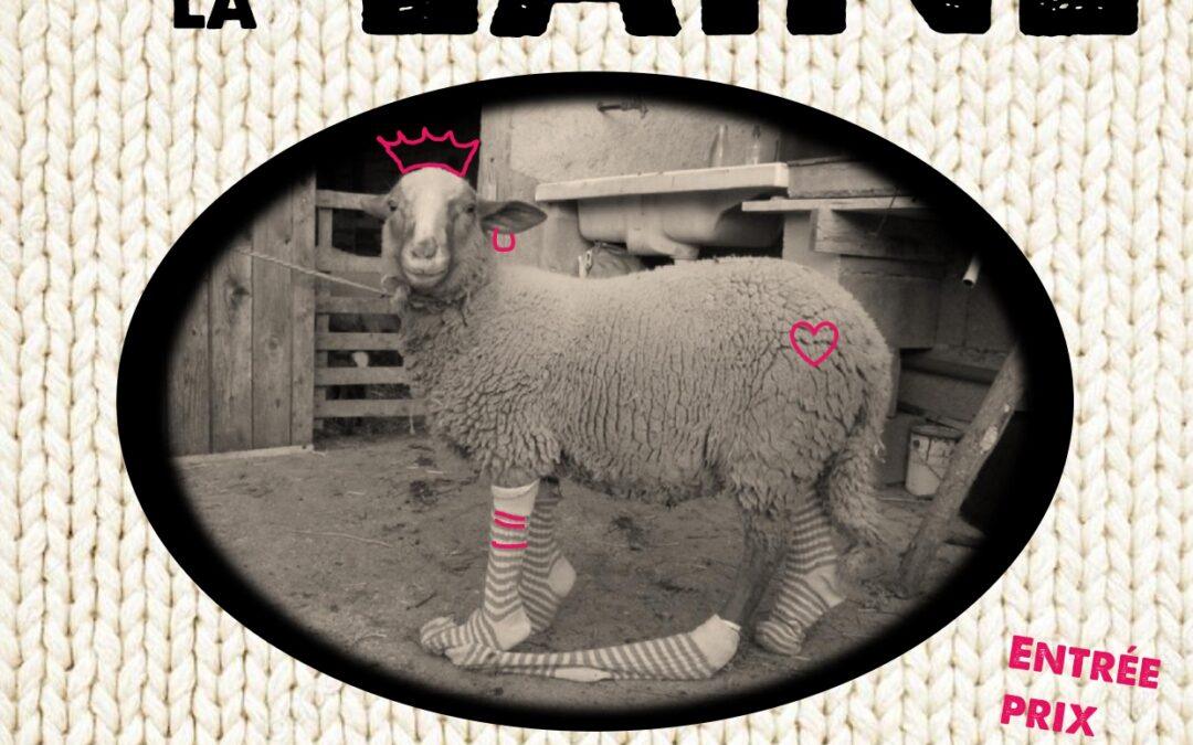 Faites de la laine les 13 et 14 novembre 2021 à Laurac-en-Vivarais