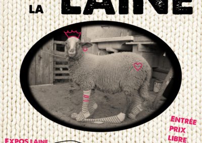 Faites de la laine les 13 et 14 novembre 2021 à Laurac-en-Vivarais