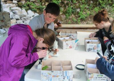 Fête de la Nature au Muséum de l’Ardèche -21 & 21 mai 2022