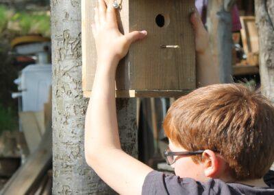 Stage “Je fabrique mes objets en bois !” 9-18 ans