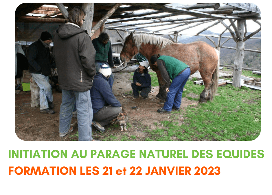 Formation parage naturel des équidés – 21 et 22 janvier 2023