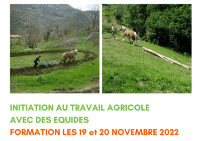 Formation initiation au travail agricole avec des équidés