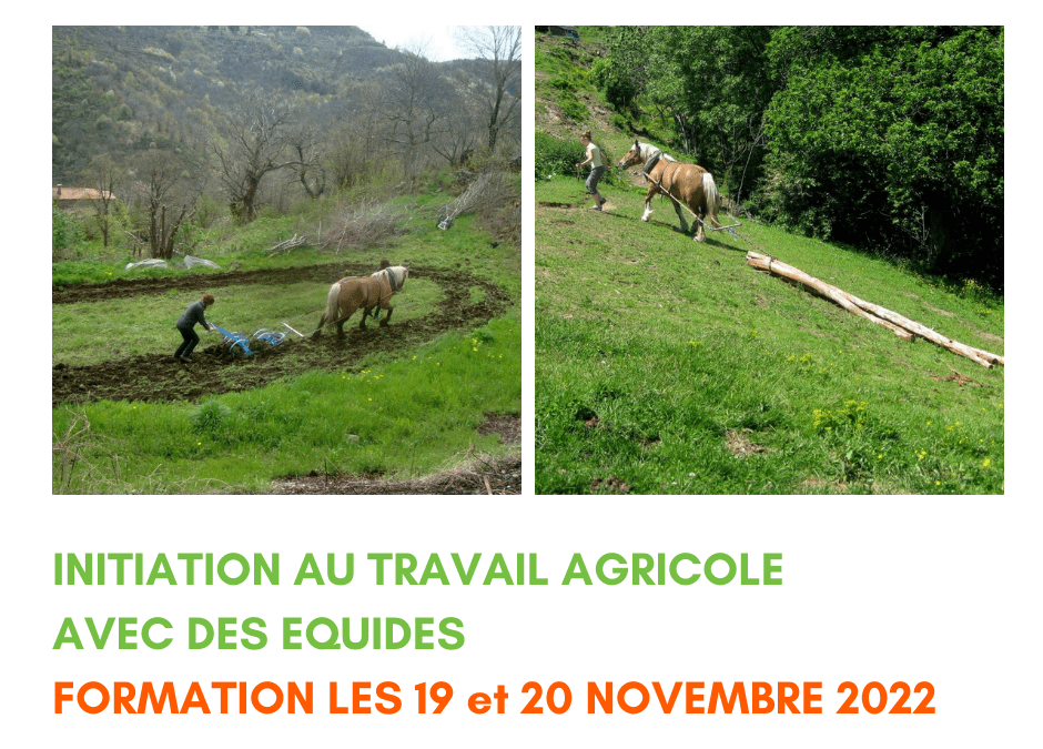 Formation initiation au travail agricole avec des équidés