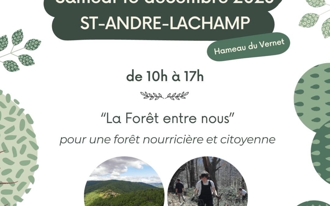 Chantier de plantation participatif pour une forêt nourricière