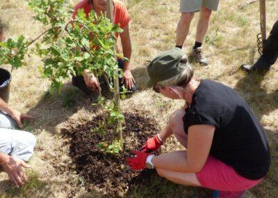 Formation gratuite | Jardiner toute l’année, c’est possible ! – 11 oct & 29 nov.