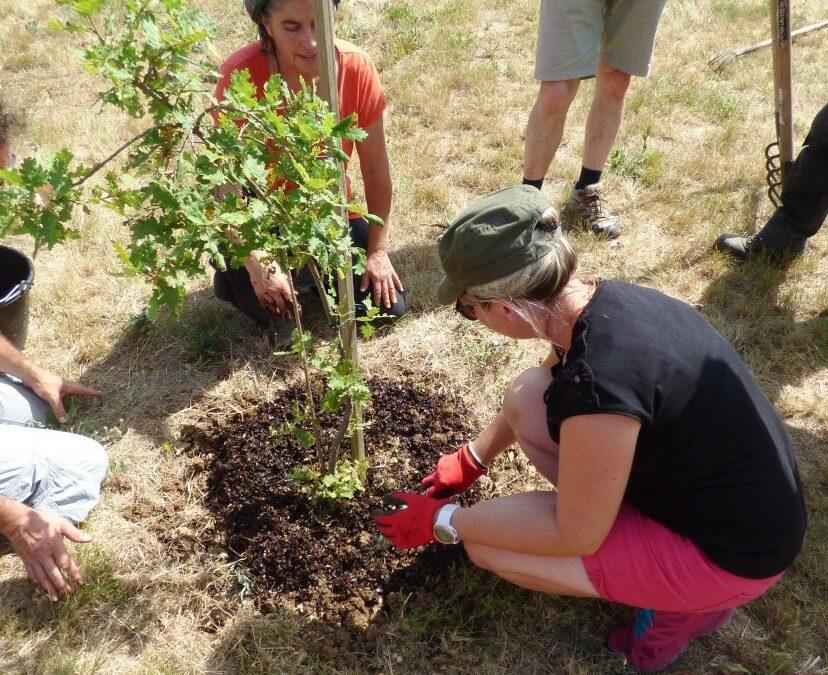 Formation gratuite | Jardiner toute l’année, c’est possible ! – 11 oct & 29 nov.