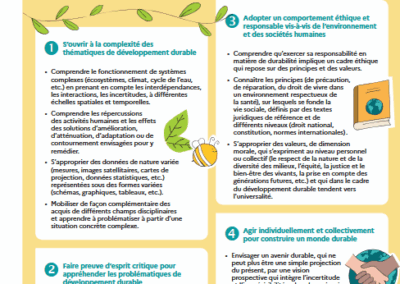Les quatre domaines de compétences EDD pour la scolarité