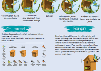 Aménagements pour la faune sauvage : les nichoirs pour les oiseaux