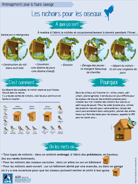 Aménagements pour la faune sauvage : les nichoirs pour les oiseaux