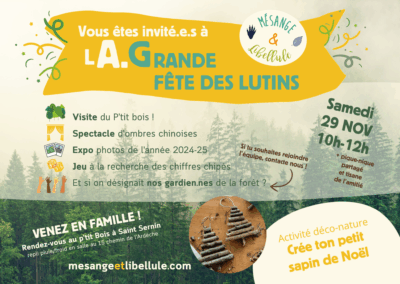 LA.Grande fête des lutins de Mésange et Libellule de 10h à 12h – 29 nov à Saint Sernin