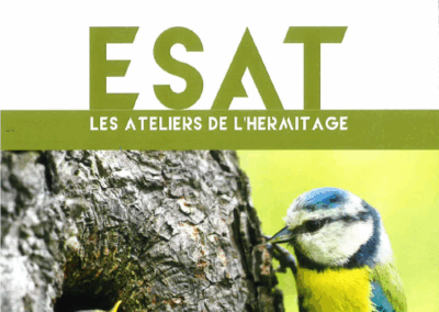 Atelier nichoirs de l&rsquo;ESAT Les ateliers de l&rsquo;Hermitage (26600)