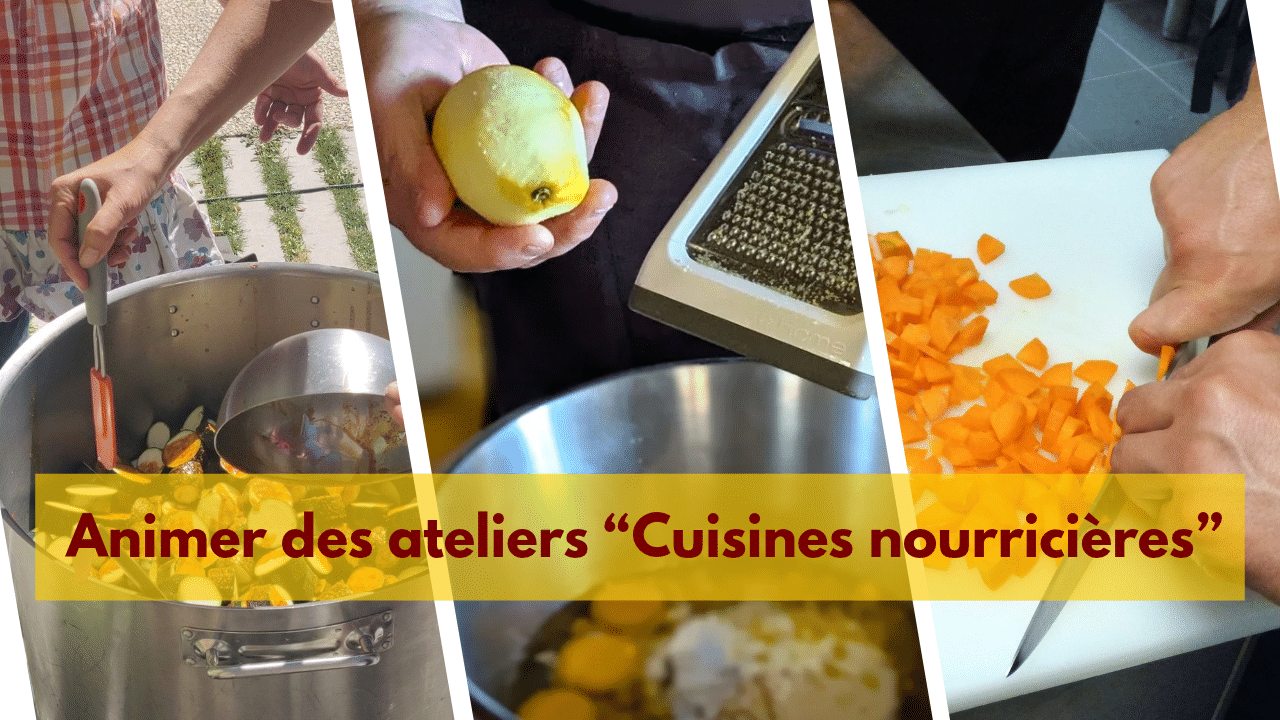Animer ateliers de cuisines nourricières2